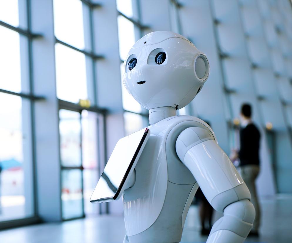 Roboty wygryzą polityków?! Sztuczna inteligencja dostała rządową fuchę 