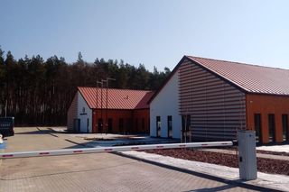 Nadleśnictwo Potrzebowice Puszcza Notecka