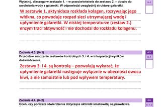 Matura 2025. Wszystkie ODPOWIEDZI do biologii i arkusze CKE już do ściągnięcia. Zobacz, czy zdałeś 9.05.2025