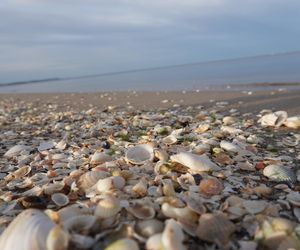 Te zachodniopomorskie plaże i mariny otrzymały Błękitną Flagę. Lista miejsc
