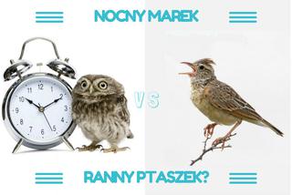 Sprawdź swój chronotyp i dowiedz się, czy jesteś sową czy skowronkiem? [TEST]