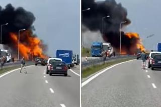 Ogromny pożar na S19. Spłonęła ciężarówka z kosmetykami [WIDEO]