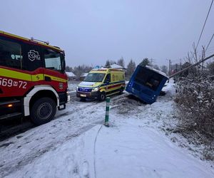 Autobus uderzył w słup (22.11.2024)