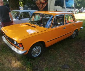 Siedlce:  16. Zlot Pojazdów Zabytkowych „Mrowisko”