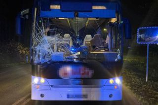 Dramat na drodze. Kierowca autobusu potrącił pieszego. Mężczyzna zmarł w szpitalu