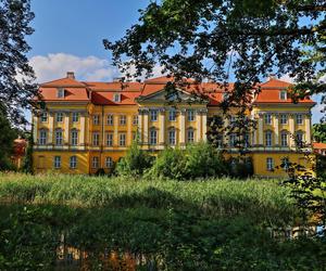 Piękny pałac w Radomierzycach na sprzedaż. Cena może zaskoczyć 