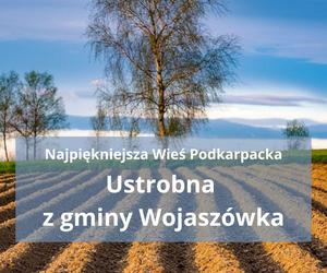 Oto najpiękniejsze wsie na Podkarpaciu. Ranking