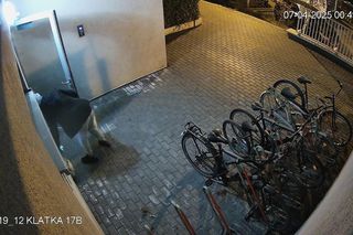 Skandaliczne zachowanie dostawcy cateringu