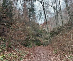 Najpiękniejsza wieś w Małopolsce zachwyca także jesienią. Leży na Szlaku Orlich Gniazd