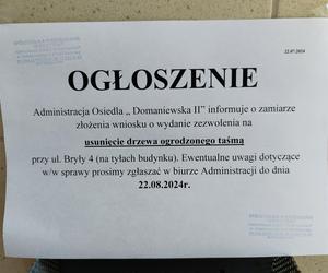 Wielkie drzewo runęło im na blok. „Widziałam, jak na mnie leci!”