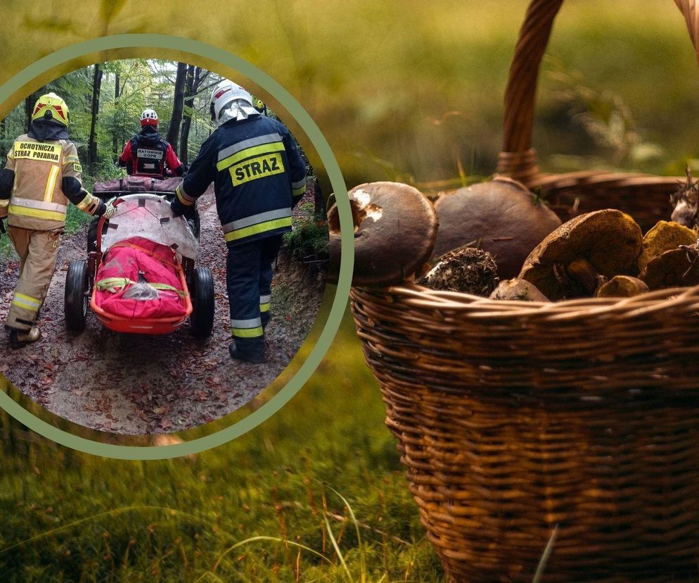 GOPR Bieszczady na grzybobraniu