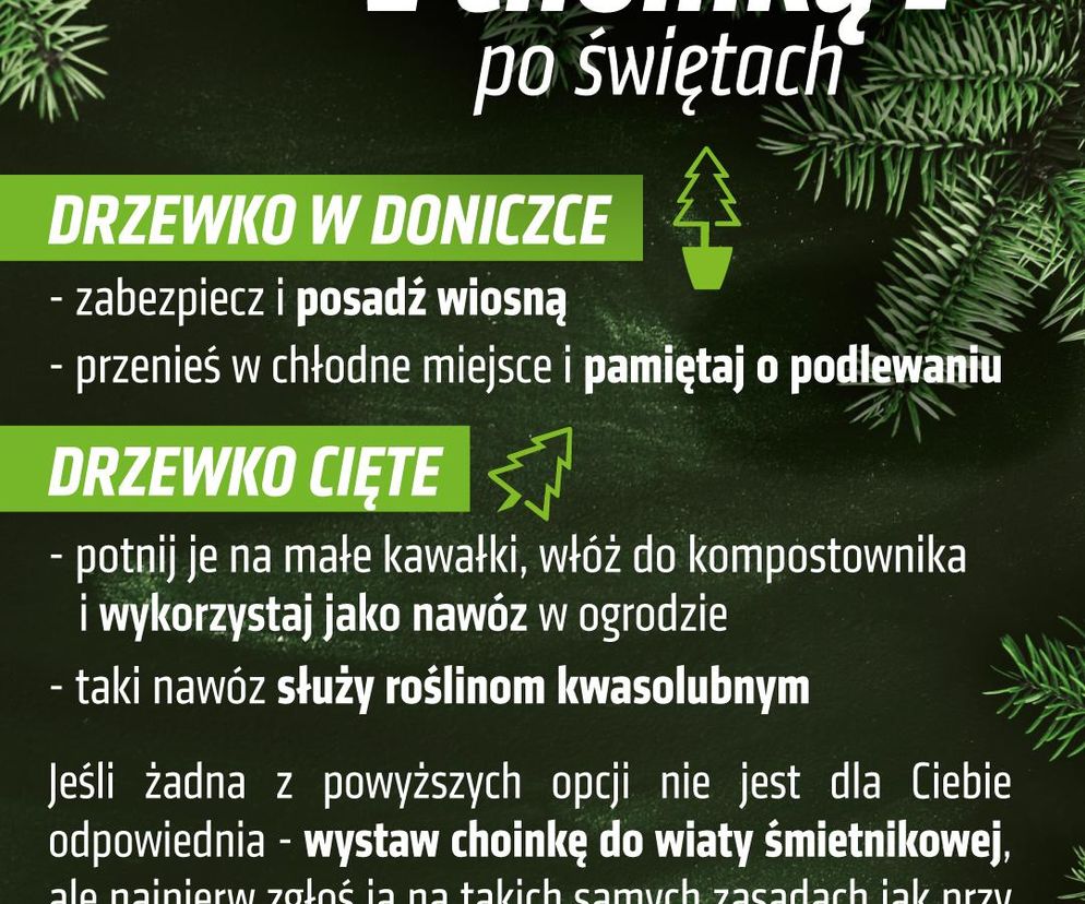  Co zrobić z choinką po świętach - plakat