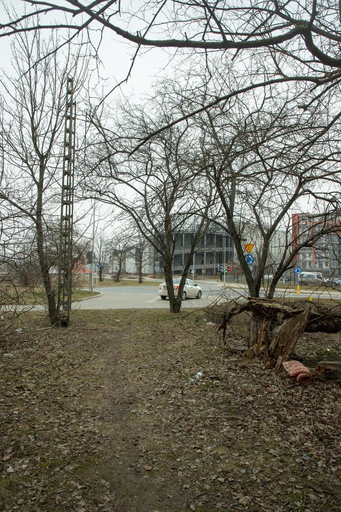 Przerażająca bójka nastolatek w Pruszkowie