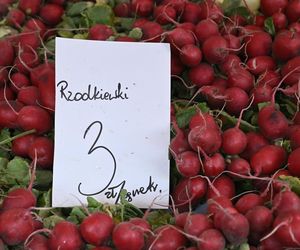  Ceny nowalijek na warszawskich bazarach szokują. Byliśmy i sprawdziliśmy ile trzeba zapłacić