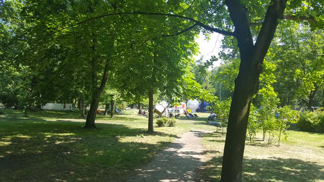 Czas na Piknik w Parku Sieleckim w Sosnowcu