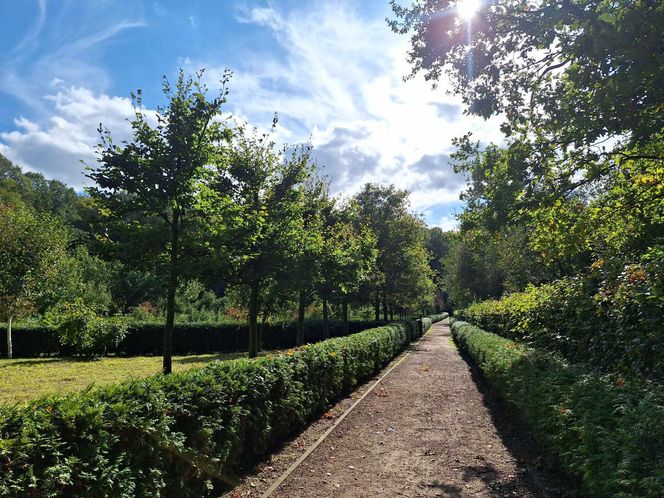 Arboretum Bramy Morawskiej zachwyca jesienią