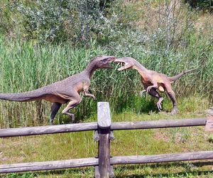 JuraPark w Krasiejowie. Podróż w czasie o miliony lat tylko godzinę drogi z Katowic