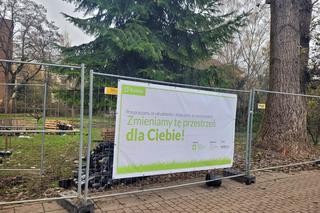 W mieście będzie jeszcze bardziej zielono. Trwają prace w krakowskich parkach