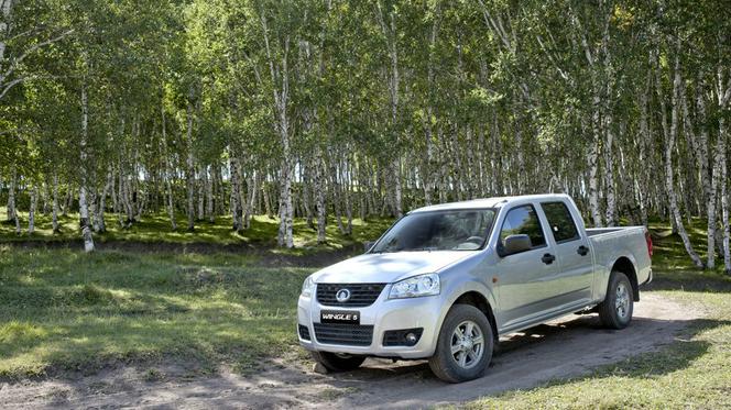 Great Wall Steed