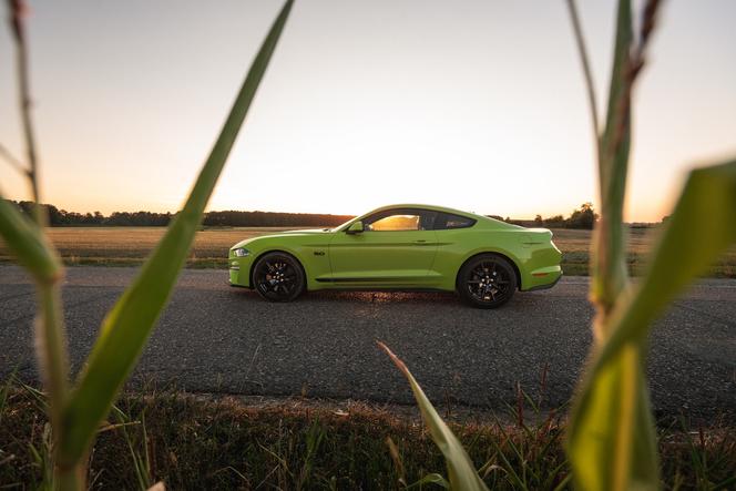 Ford Mustang GT 5.0 V8 55 Edition