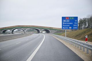 Nowy odcinek A2. Siedlce połączone autostradą z Warszawą. Nie ma pasa zieleni 