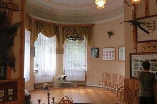 Pałac w Brynku - zobacz zdjęcia pięknej rezydencji magnackiej. Jak wygląda w środku?