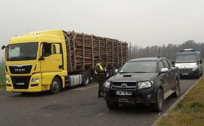 Wzmożone akcje na Opolu. Ciężarówki z nadmiarem drewna przyłapane przez Inspekcję Transportu Drogowego