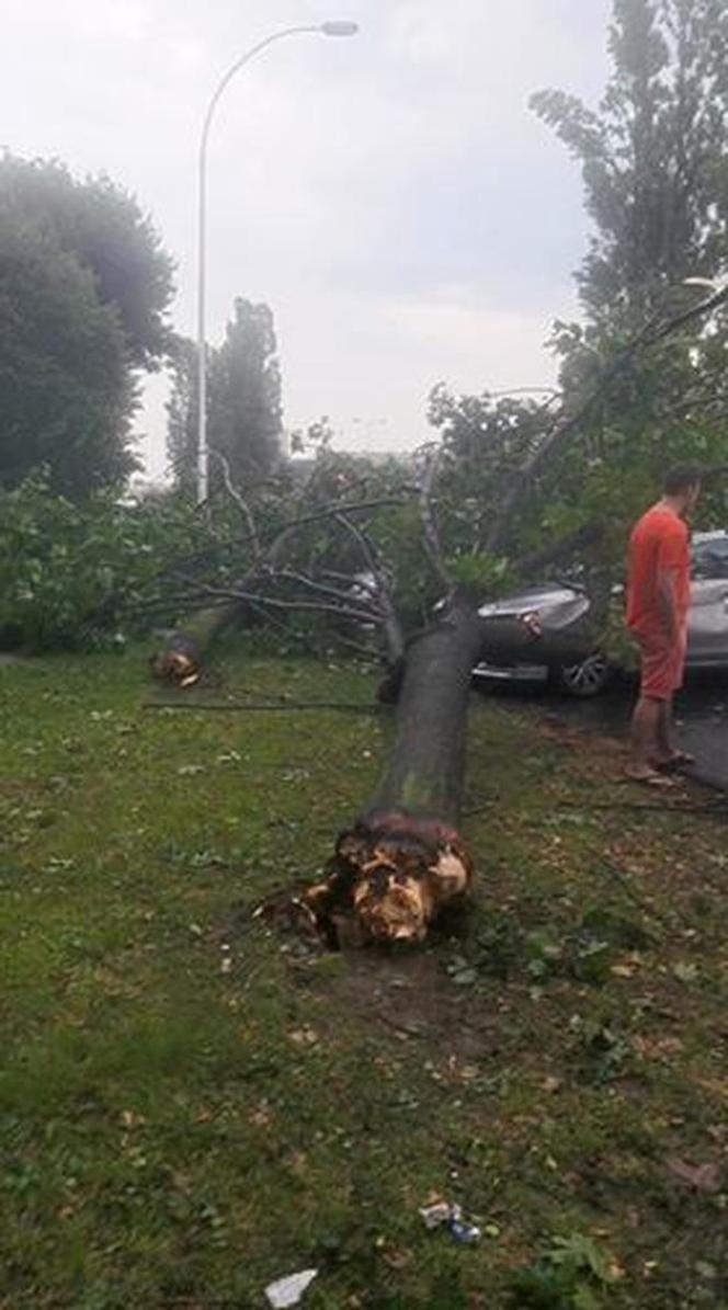 Skutki burzy w Rzeszowie