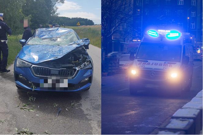 Wierzba runęła na skodę! Ojciec 6-latka nic nie mógł zrobić. Chłopca zabrała karetka