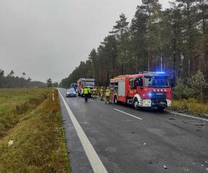 Tragiczny wypadek na DK11 w Śląskiem