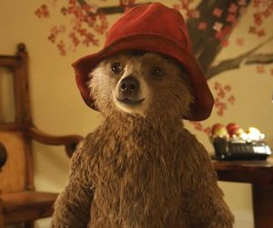 Miś Paddington