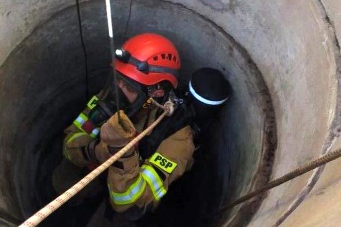 Stażacy z Sokółki uratowali kotka z 20-metrowej studni