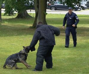 Policjanci i ich psy służbowe walczyli o tytuł! Kto okazał się najlepszy?
