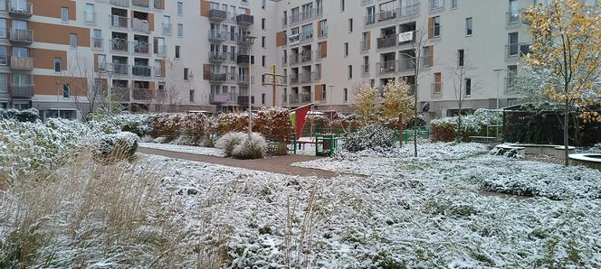 Pierwszy śnieg we Wrocławiu. Czy zima zaskoczyła kierowców? [ZDJĘCIA]