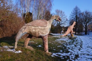 Zimowy spacer po Podzamczu w Łęcznej