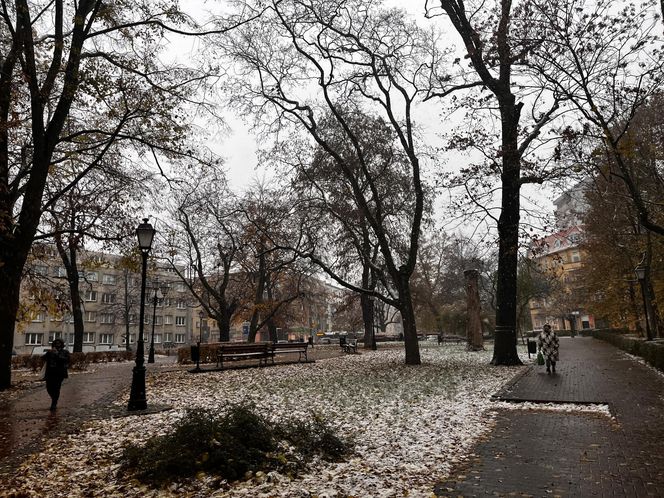 Pierwszy śnieg w Szczecinie