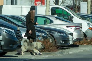 Antek Królikowski i nowa przyjaciółka. Połączył ich pies