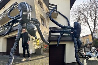 Gigantyczny pająk z plastikowych butelek ozdobił dom w Lublinie. Rodzinna instalacja robi furorę na Halloween