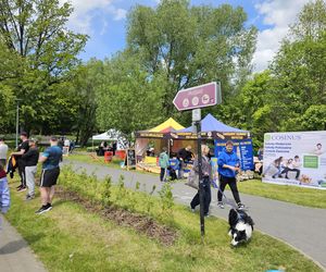 Festiwal Przyjaciół Zwierząt w Olsztynie. Park Centralny opanowały radosne pieski