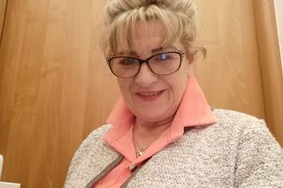 Inwazja much w Czechach na Pomorzu Zachodnim