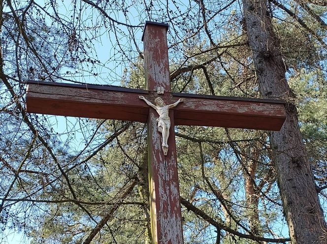 Nawiedzone miejsca. W Gdyni straszy Blady Józek. Duch małego chłopca pojawia się tu od 130. lat 