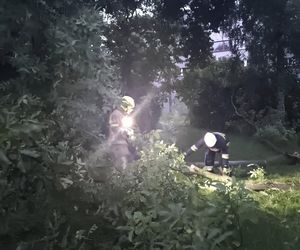 Orkan przechodzi przez województwo śląskie. Gwałtowne burze i ulewny deszcz