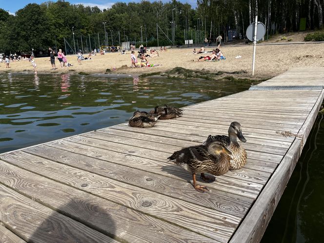 Wakacyjny patrol Eska Summer City na olsztyńskiej Plaży Miejskiej