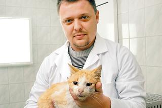 Rzucili kota mrówkom na pożarcie