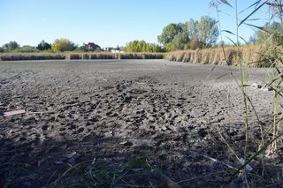 Wyschnięte Jeziorko Imielińskie w Warszawie