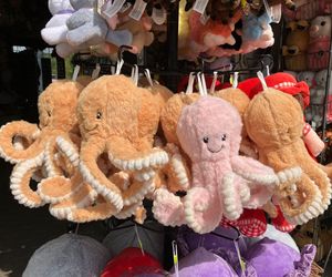 Krynica Morska to popularne miejsce na urlop. Jakie sątu ceny?