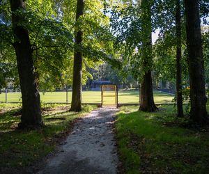 Zabytkowy park pod Lubawą zmienił się nie do poznania. Teraz wygląda jak z bajki