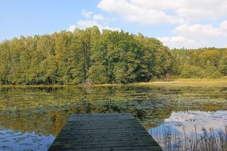 Urokliwe miejsca na jesień w Trójmieście i okolicach. Tu się zrelaksujesz i zapomnisz o miejskim zgiełku