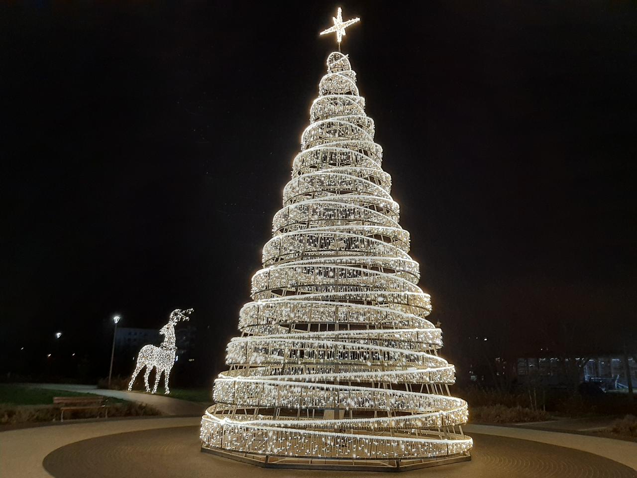 Łomża rozbłysła na święta! Iluminacje pojawiły się w Parku Jana Pawła II [GALERIA]
