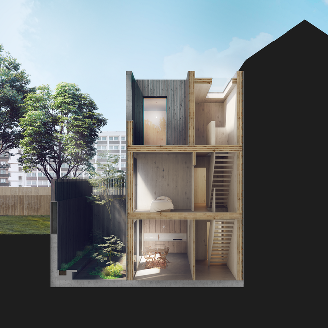 Adjaye Associates for Cube Haus_Section 1_visualisation by Edit.rs (Copy)